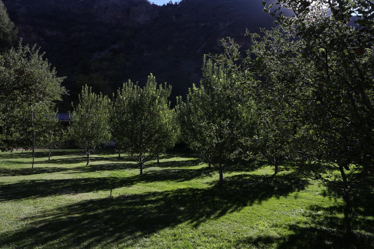 Orchard Canyon On Oak Creek Sedona Exterior photo